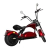 CityCoco bordó CP4.2Max 3000W