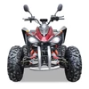 Felnőtt elektromos Quad 4000W teljesítménnyel  RTH-Shop.hu