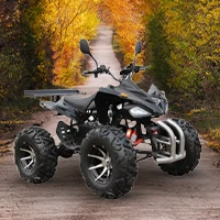 E-Quad, E-ATV